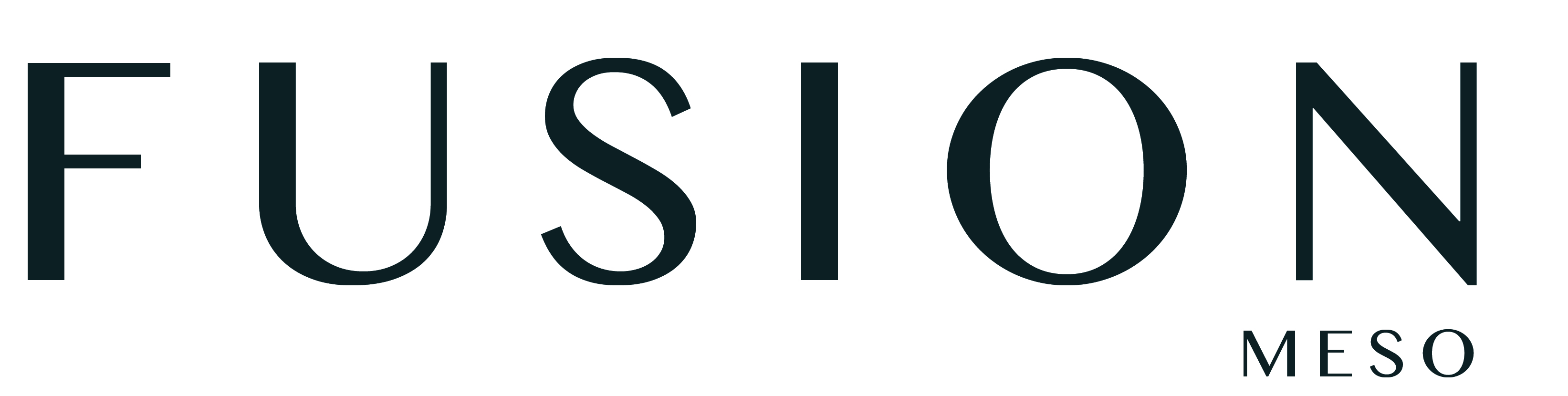 www.fusion-meso-germany.de-Logo